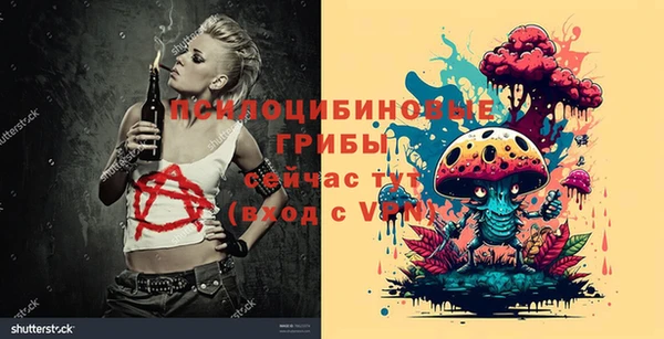 бошки Абдулино