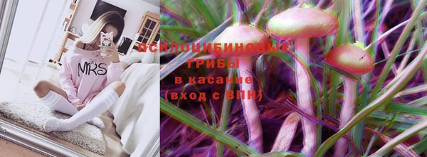 дмт Абаза