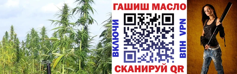 ТГК вейп  МЕГА tor  Арсеньев 