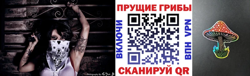 Псилоцибиновые грибы Psilocybine cubensis  где можно купить   Арсеньев 